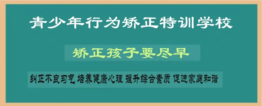 版面.webp.jpg