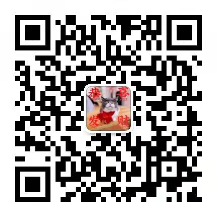 1639636022406724.jpg