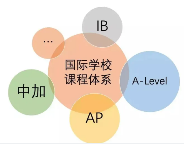 国际学校课程体系.png