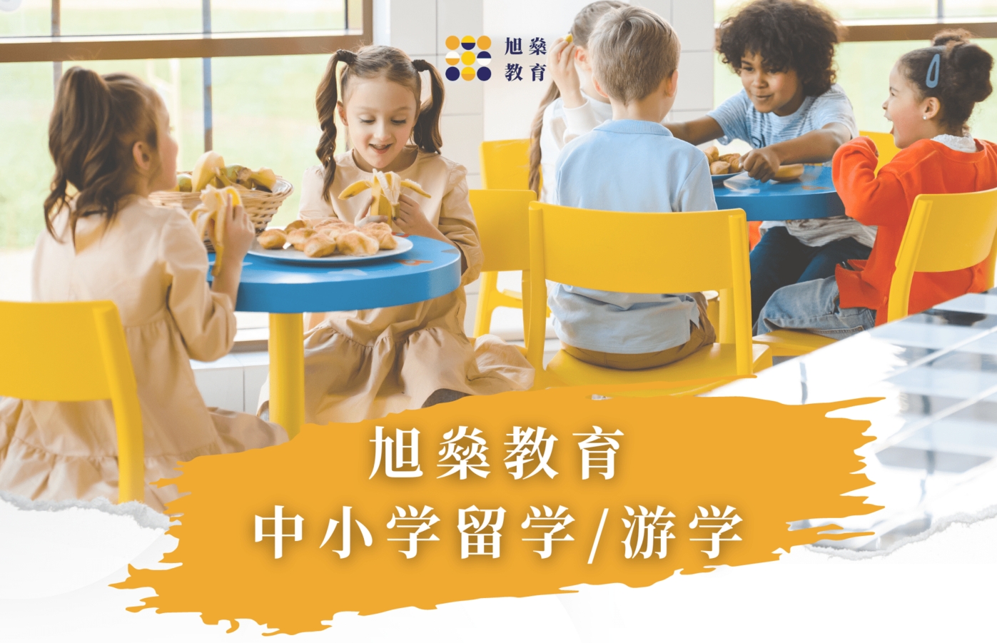 中小学留学游学.png