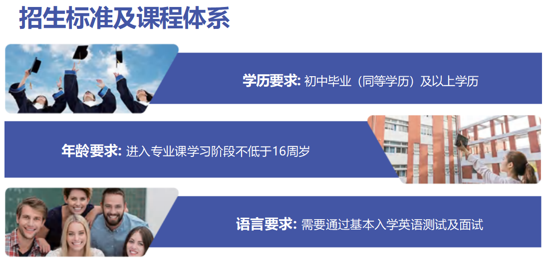招生标准及课程体系.png