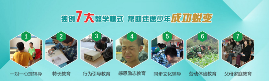 7大教学模式.png