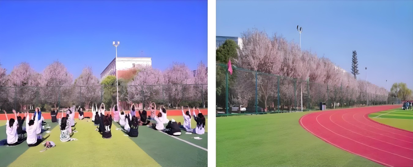 环境3.jpg